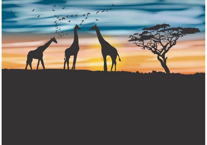 Acacia Tree and Giraffe Vector Background 