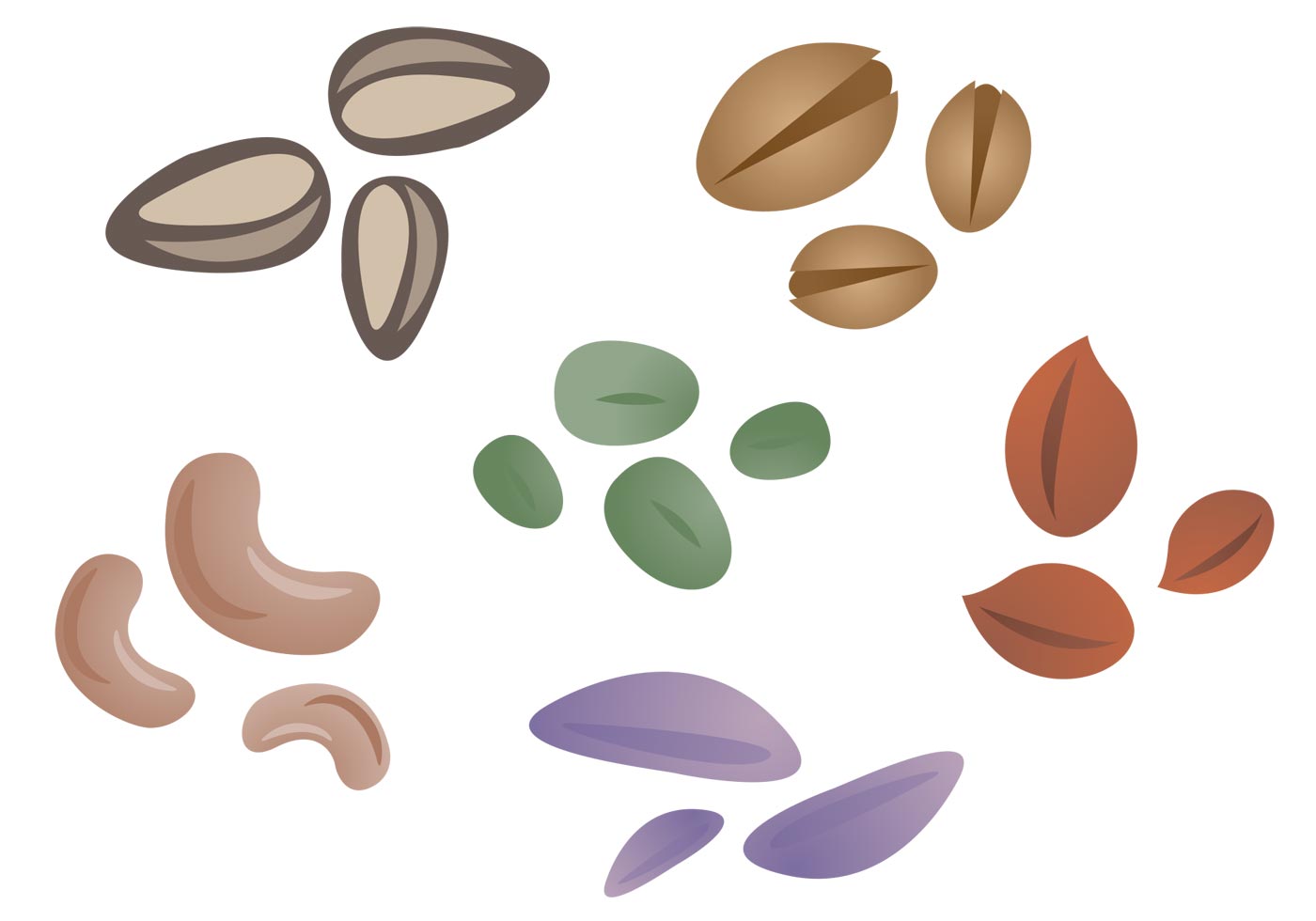 Seeds Vector Art, Icons, and Graphics for Free Download