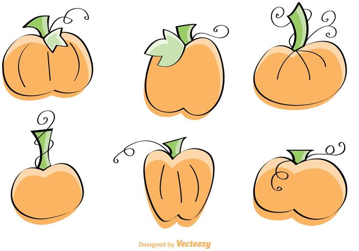 Ilustraciones vectoriales dibujadas a mano de la calabaza vector