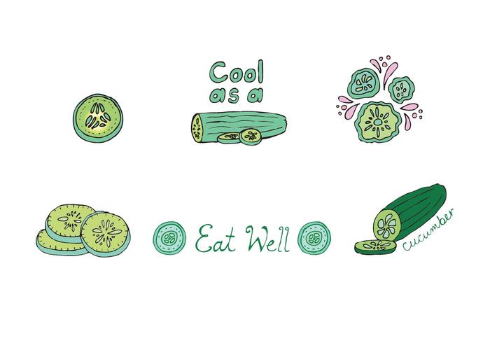 Free Cucumber Vector Series Free Cucumber Vector Series