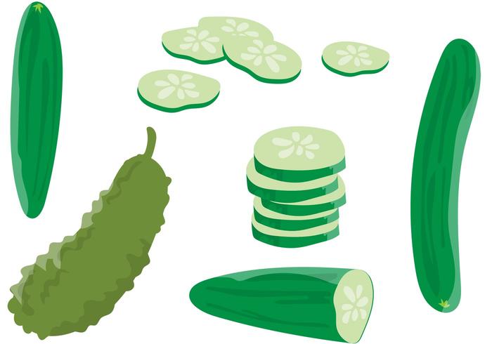 Cucumber Vectors