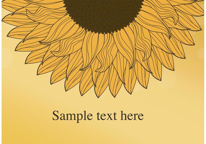 Sunflower Vector Background