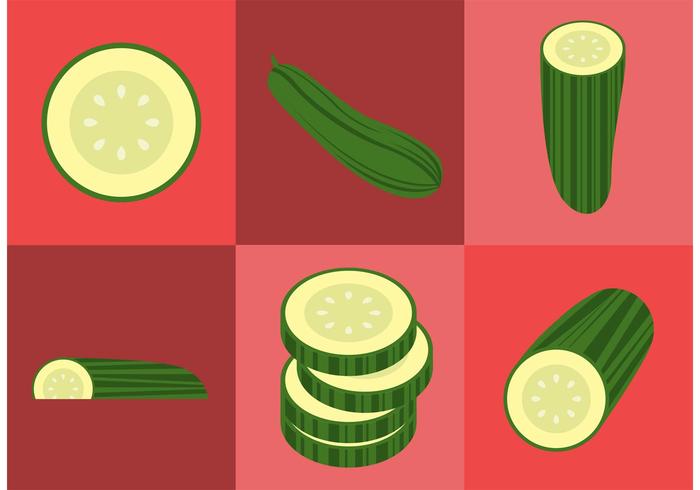 Cucumber Vectors Cucumber Vectors