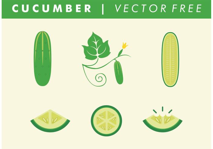 Vector Free Cucumbers