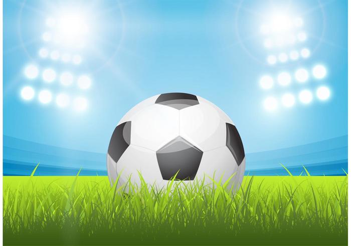 Shiny Soccer Ball In Stadium Vector