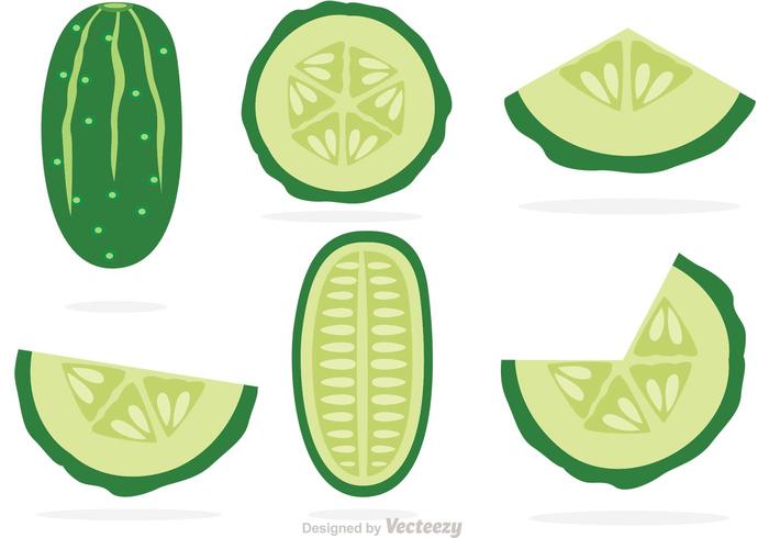 Slices Of Cucumber Vectors