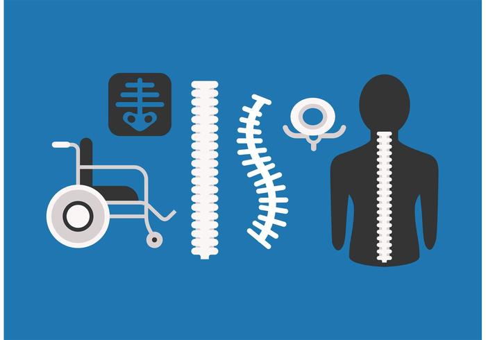 Vertebral Column Vector Pack Vertebral Column Vector Pack