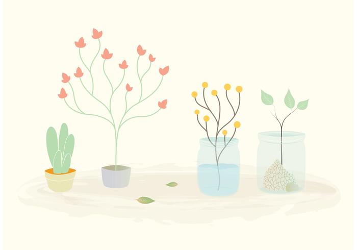 Free Vector Plants in Pots and Jars