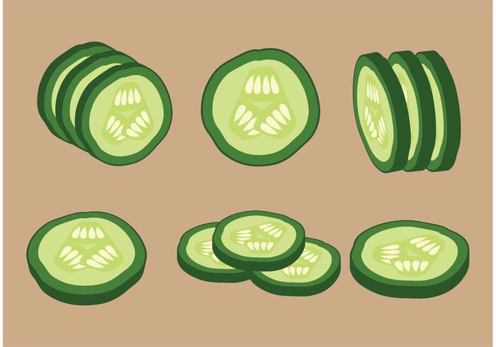 Vector Cucumber Slices