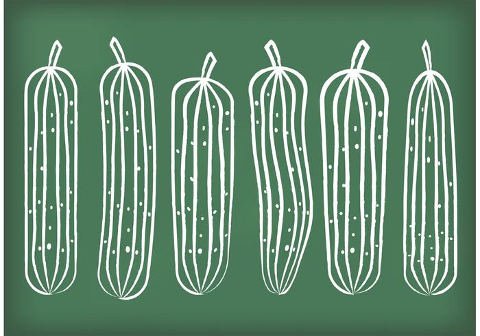 Chalk Drawn Cucumber Vectors