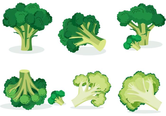 Broccoli Isolated Vectors