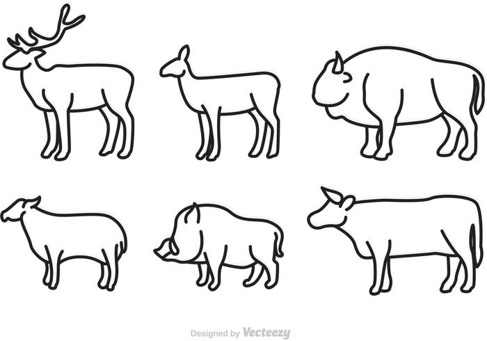 Wild Animal Outlined Vectors