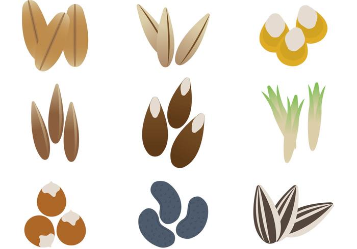 Seed Vectors Seed Vectors