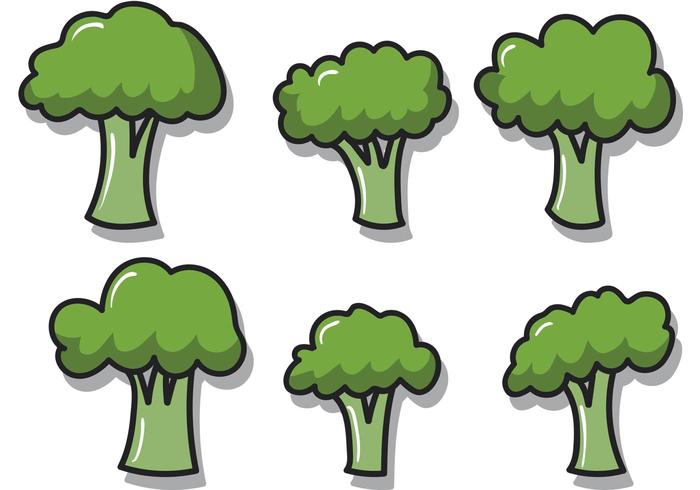 Broccoli Isolated Vectors