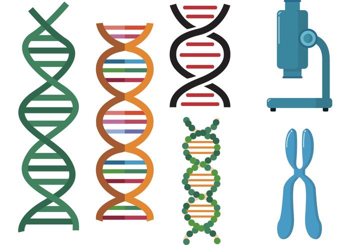 Double Helix Scientific Vector Set