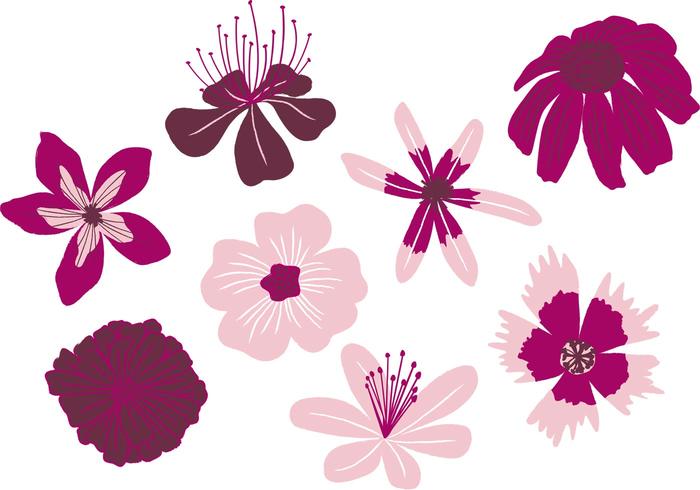 Hand Drawn Blossoms Vectors