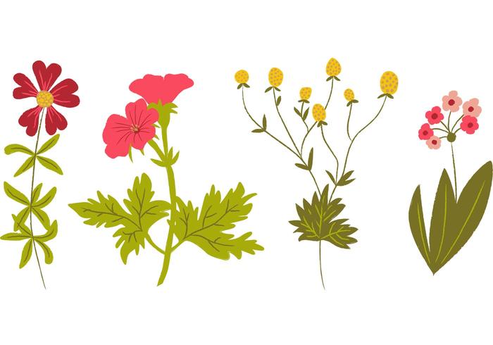 Hand Drawn Wildflowers Vectors