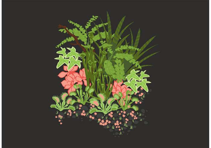 Secret Garden Vector