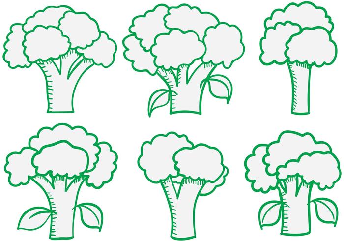 Broccoli Isolated Vectors 