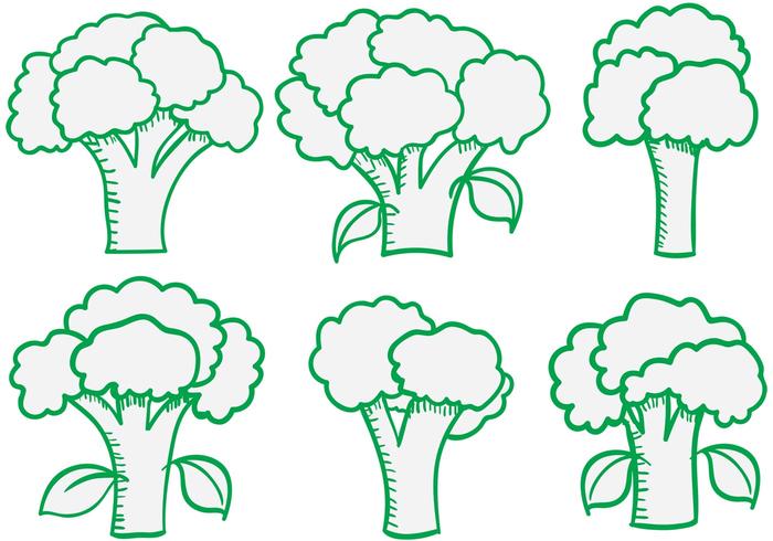 Brócoli Aislado Vectores