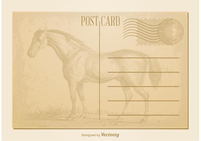 Vintage Horse Postcard Vintage Horse Postcard