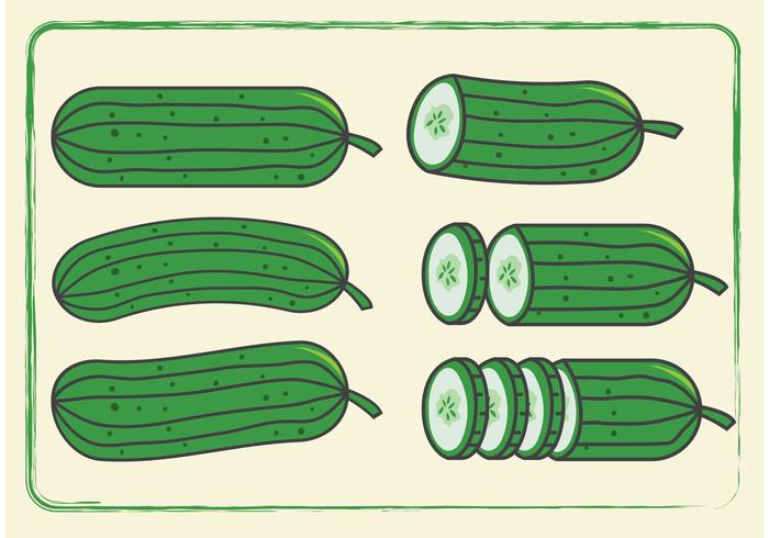 Cucumber Vectors