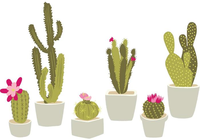 Cactus Potted Dibujado a Mano vector