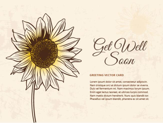 Drawn Sunflower Vector Illustration