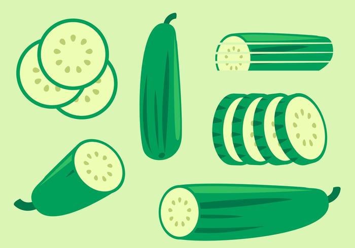 Cucumber Vectors