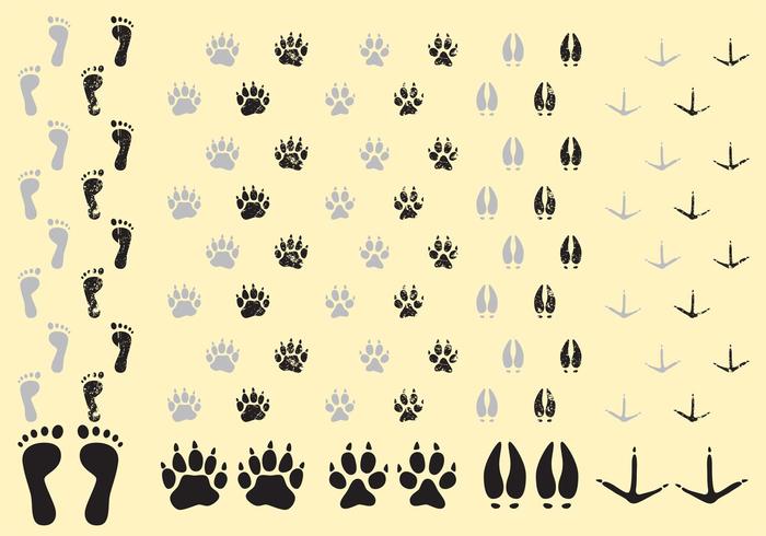 Walking Away Footprint Vectors