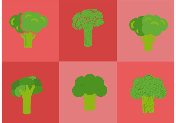 Broccoli Isolated Vectors Broccoli Isolated Vectors
