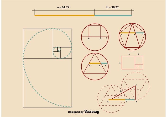 Golden Ratio Proportions vector