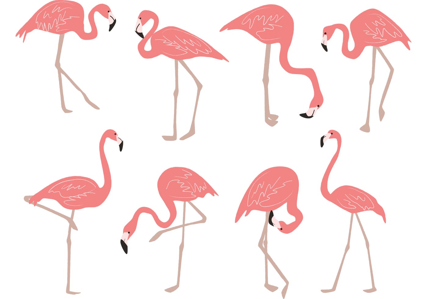 Hand Drawn Flamingo Vectors Download Free Vector Art, Stock Graphics & Images