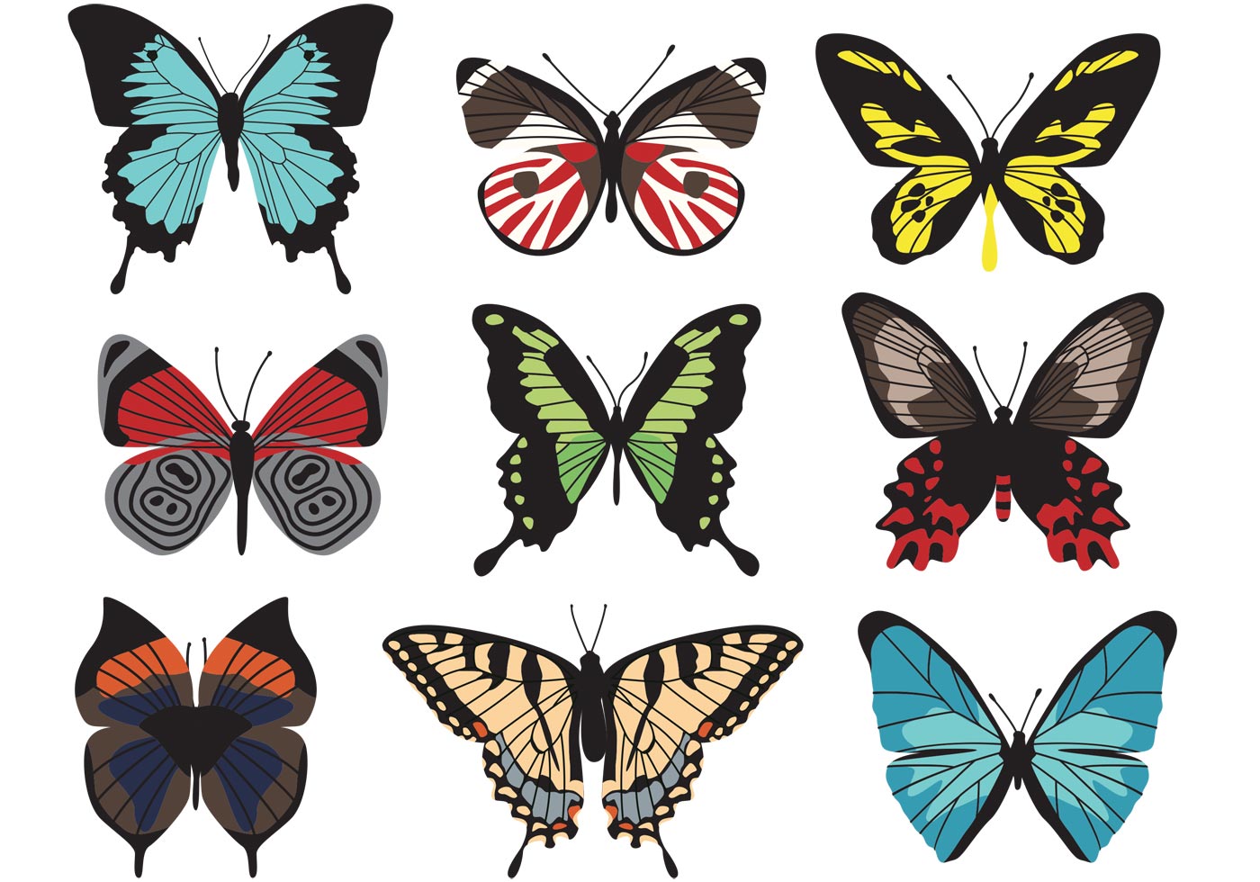 vector free download butterfly - photo #12