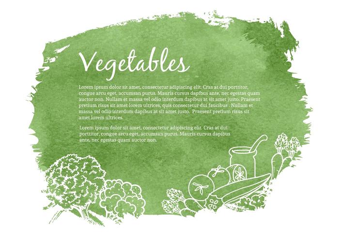 Drawn Vegetables Vector Illustration