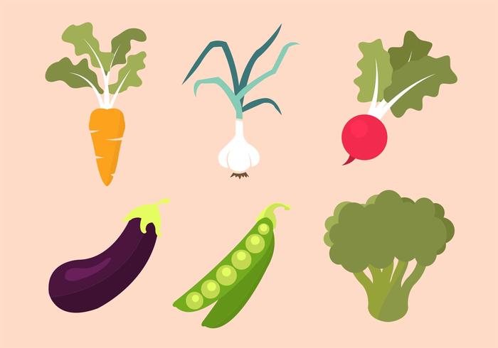 Vegetables Vector Collection