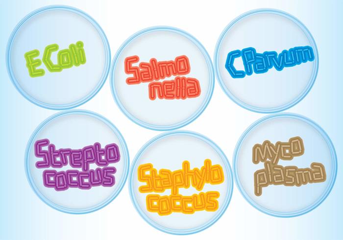 Vector Petri Dishes Bacteria Names Vector Petri Dishes Bacteria Names