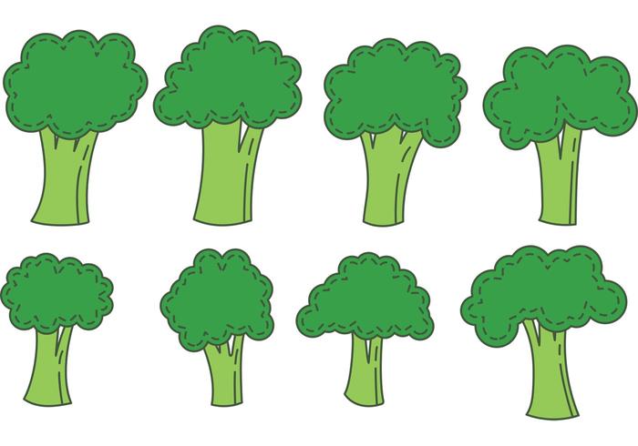 Broccoli Isolated Vectors Broccoli Isolated Vectors