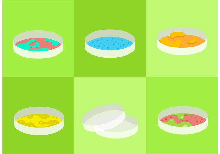 Petri Dish Vectors Petri Dish Vectors