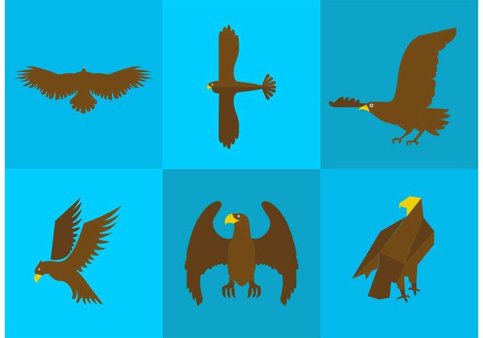 Golden Eagle Vectors Golden Eagle Vectors