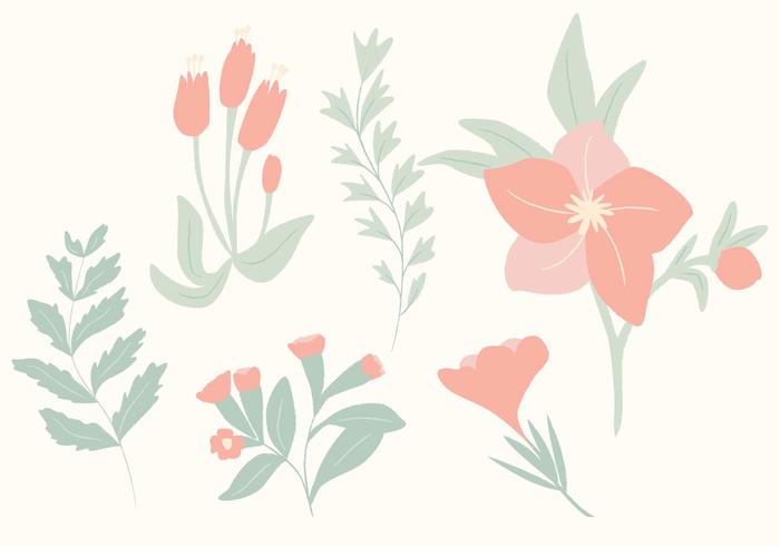 Hand Drawn Botanical Vectors