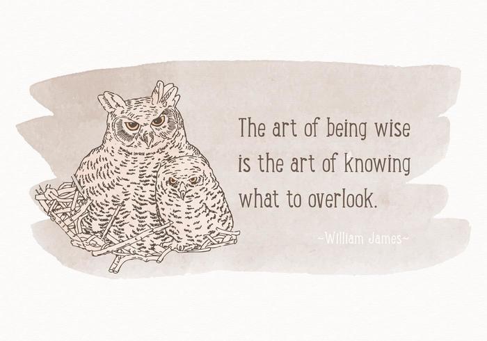 Download Watercolor Owls Vector Background 91882 - Download Free ...