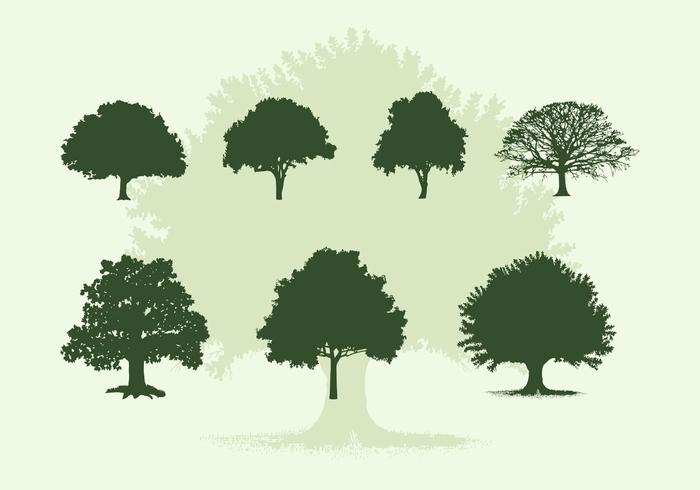 Various Oak Trees Vector Silhouettes Free Download