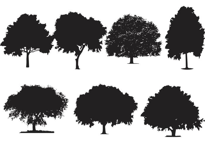 Oak Tree Silhouette Vectors