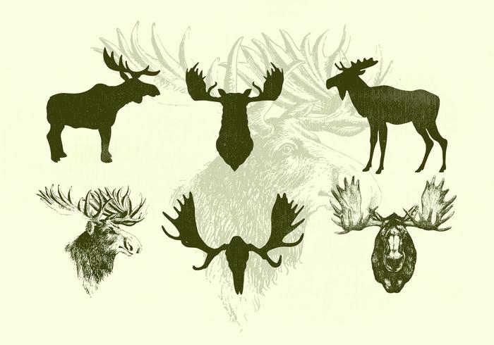 Standing Moose and Moose Heads Vector Silhouettes Standing Moose and Moose Heads Vector Silhouettes