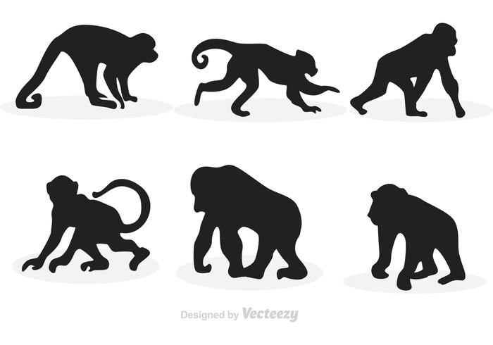 Monkey Silhouette Vectors 