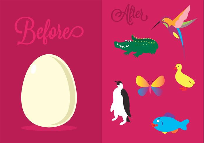 Ilustraciones Vectoriales de diferentes animales ovíparos vector