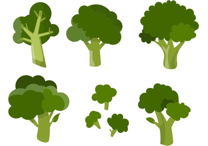 Various Broccoli Vectors