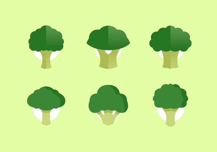 Broccoli Vector Illustrations Free Download Broccoli Vector Illustrations Free Download
