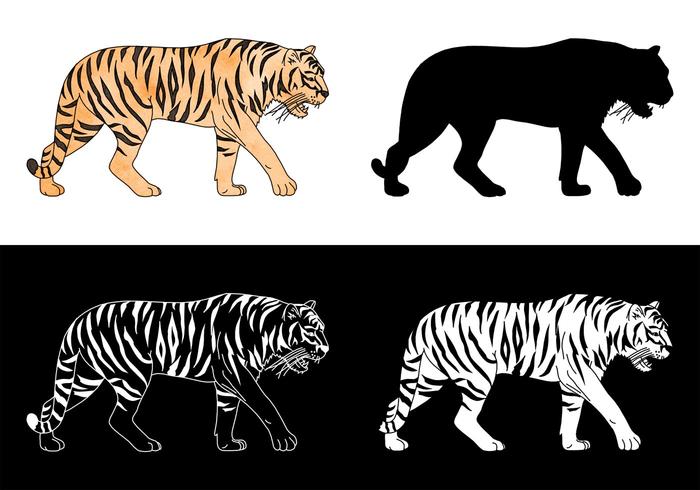 Tiger Silhouette Vector Set